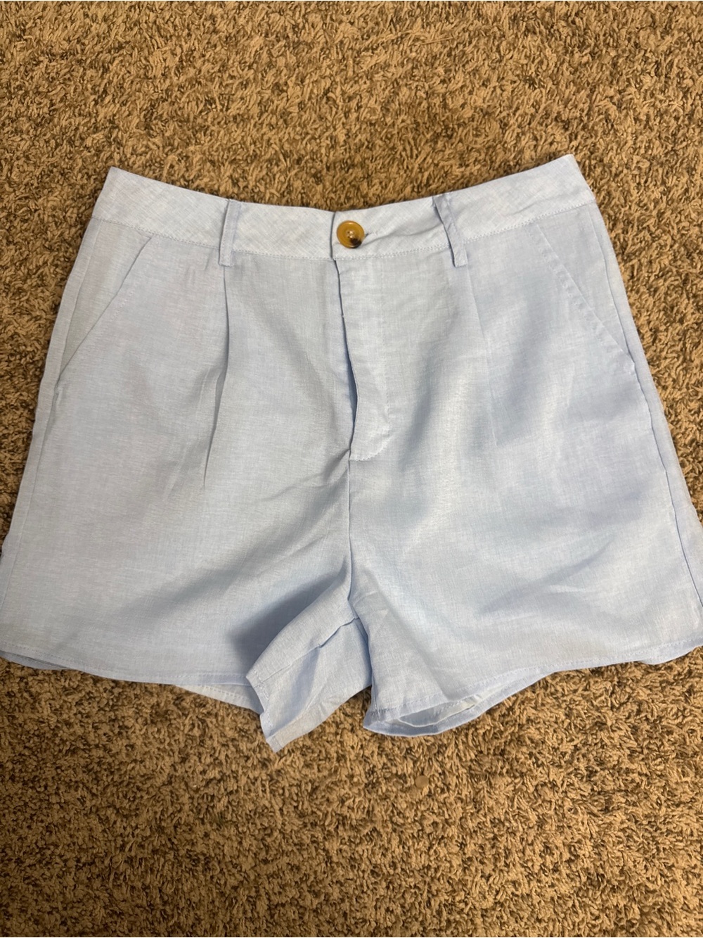 Hayden Light Blue Pleated Shorts